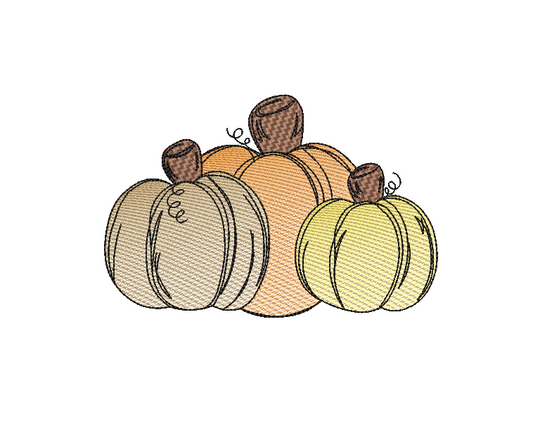 Pumpkins Sketch Design, Fall design, Pumpkin embroidery design, machine embroidery, DIGITAL FILE